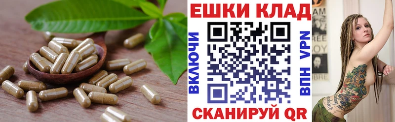 Ecstasy mix  что такое   мега онион  Киреевск 
