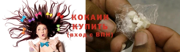 крисы Осташков